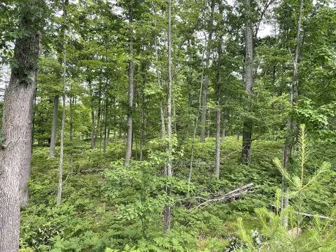 10 Acres School Rd, Roscommon, MI 48653 photo 7