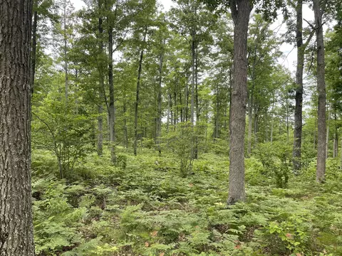 10 Acres School Rd, Roscommon, MI 48653 photo 1