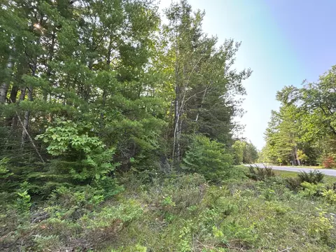 lot345 Kauffman Rd, Presque Isle, MI 49777