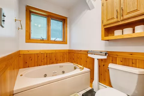 234 Patrick Dr, Indian River, MI 49749 photo 44