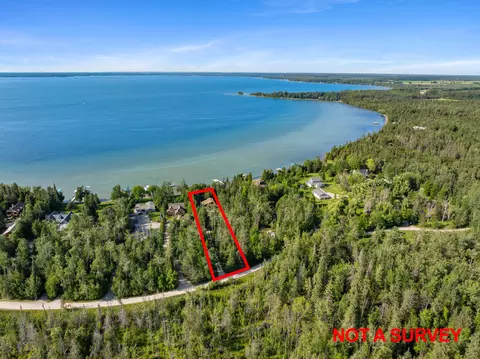 234 Patrick Dr, Indian River, MI 49749 photo 63