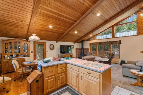 234 Patrick Dr, Indian River, MI 49749 photo 26