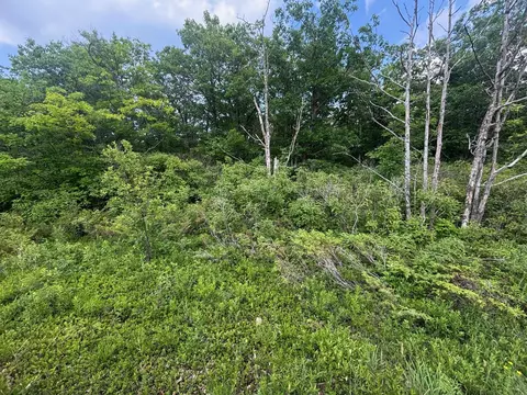 Nhn Highland Pines Road, Presque Isle, MI 49777