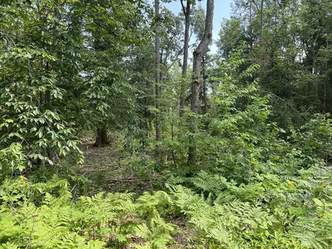 4649 Wah Wah Soo Dr, Gaylord, MI 49735