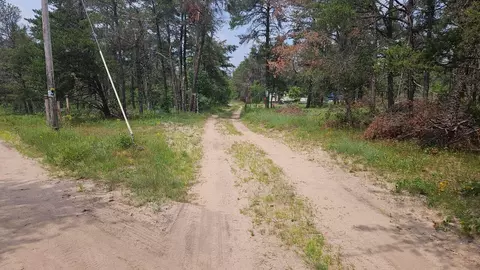 000 Witte Trl, Lovells, MI 49738 photo 3