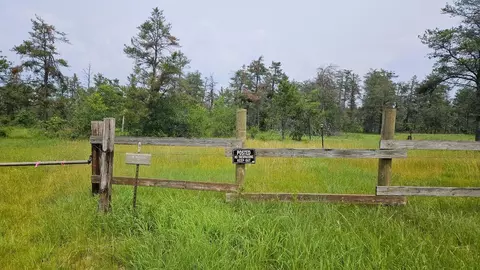 000 Witte Trl, Lovells, MI 49738