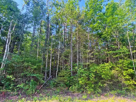 342 343 Northland Heights Dr, Presque Isle, MI 49777