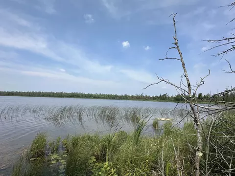 kelley dr, Millersburg, MI 49759
