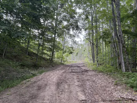 mount jack road, Elmira, MI 49730