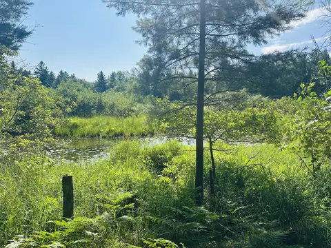 lot39 Ausable River Trl, Roscommon, MI 48653