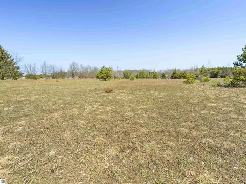V/L Stanley Road #PARCEL A-2, Beulah, MI 49617 photo 2