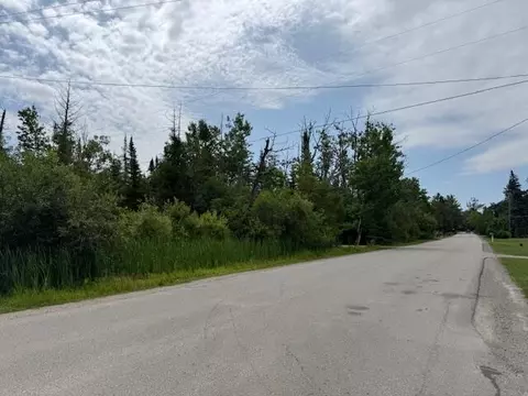 L 16 & 17 V/l Co Rd 489, Onaway, MI 49765