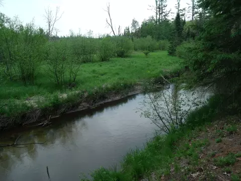spikehorn trail, Indian River, MI 49749