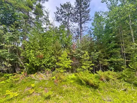 V/L Suanqua Drive #S 117-119 & 141, Presque Isle, MI 49777