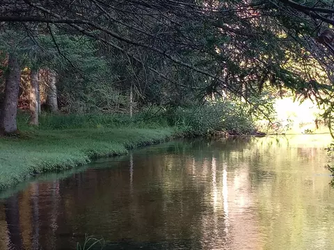 3466 Short St, Grayling, MI 49738