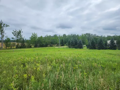 8778 Ross Rd, Cheboygan, MI 49721 photo 9