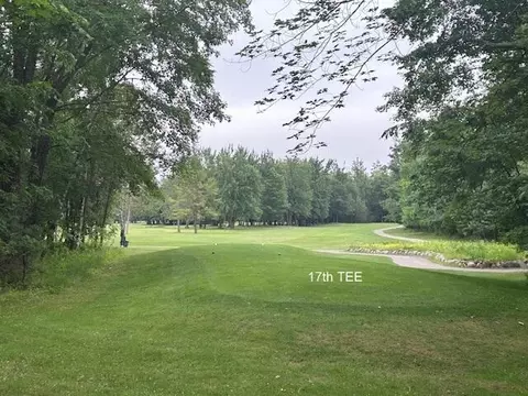 Other - 24919 E Riverside Dr, Hillman, MI 49746 photo 2 of 7