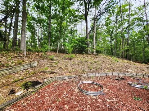 11838 Fascination Dr, Frederic, MI 49733 photo 44
