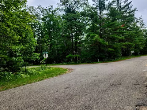 11838 Fascination Dr, Frederic, MI 49733 photo 54