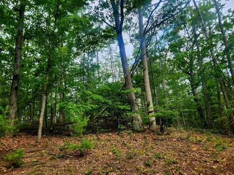 11838 Fascination Dr, Frederic, MI 49733 photo 46
