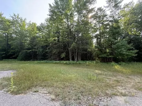 233 Sunset Dr, Roscommon, MI 48653 photo 12