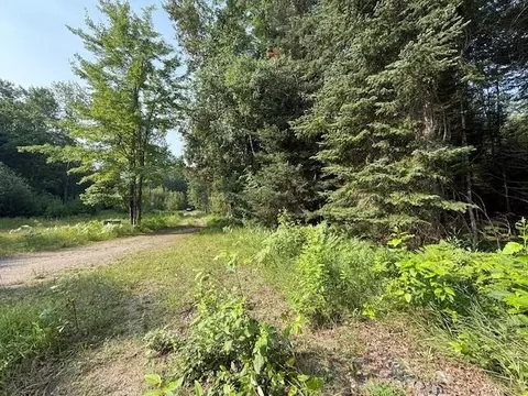 233 Sunset Dr, Roscommon, MI 48653 photo 15