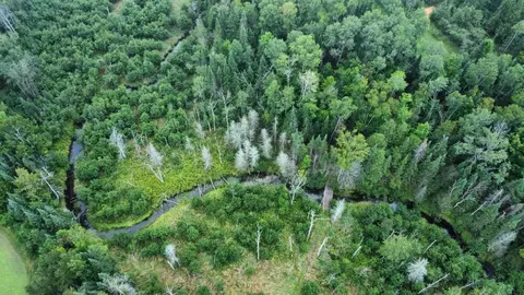 725 S Hubbard Lake Rd, Lincoln, MI 48742