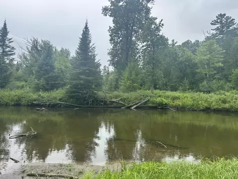 3640 Stephanie Trl, Prescott, MI 48756