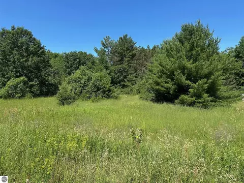 00 NE Lake Dr, Kalkaska, MI 49646