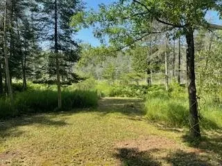 V/L Blue Springs Trail #10 ACRES, Falmouth, MI 49632