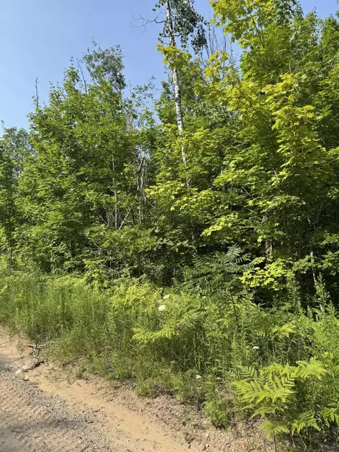 lot387 Greenway Dr, Frederic, MI 49733