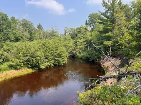 V/L N Wines Road #82.50 ACRES, Paradise, MI 49768