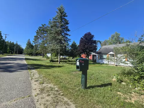 Exterior - 405 Lynn St, Mio, MI 48647 photo 22 of 24