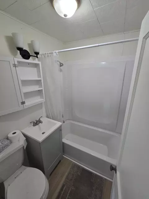 Bath - 405 Lynn St, Mio, MI 48647 photo 1 of 2