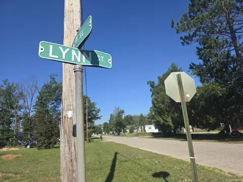 View/Area - 405 Lynn St, Mio, MI 48647 photo 1 of 1