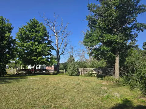 Exterior - 405 Lynn St, Mio, MI 48647 photo 9 of 24