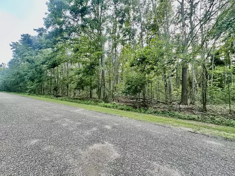 V/L Lot46 Dunson Lane #S 46&47, Elmira, MI 49730