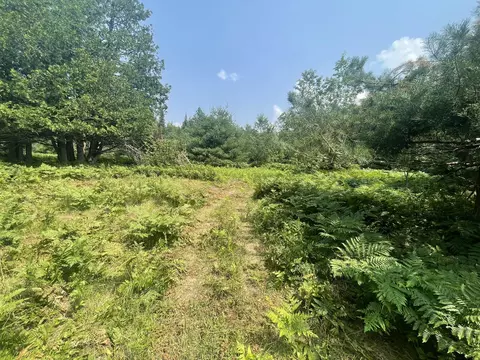 V/L Reams Road #40 ACRES, Indian River, MI 49749