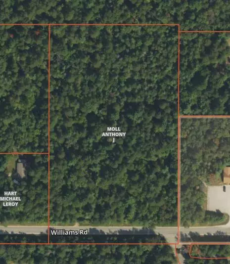 4038 Williams Road Apt Rd #(PARCEL 14), Lewiston, MI 49756