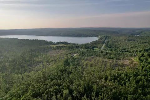 1308 S Magee Rd, Vanderbilt, MI 49795