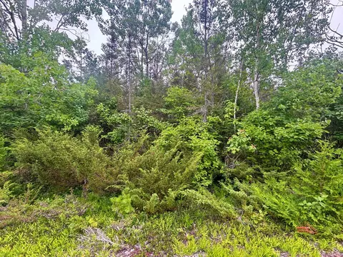 lot41 Misty Morning Ct, Presque Isle, MI 49777
