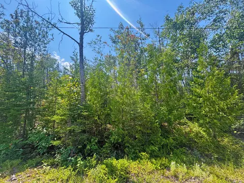 lot64 N Bay #COURT, Presque Isle, MI 49777