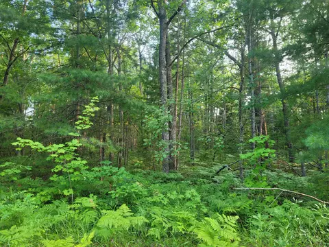 lot23 Apache Trl, Rogers City, MI 49779