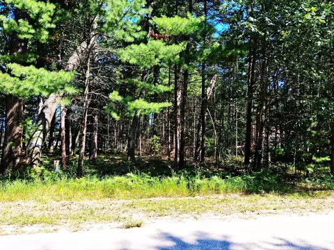 lot21 W Nestel Rd, Prudenville, MI 48651