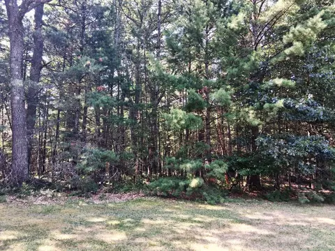 lot21 W Nestel Rd, Prudenville, MI 48651
