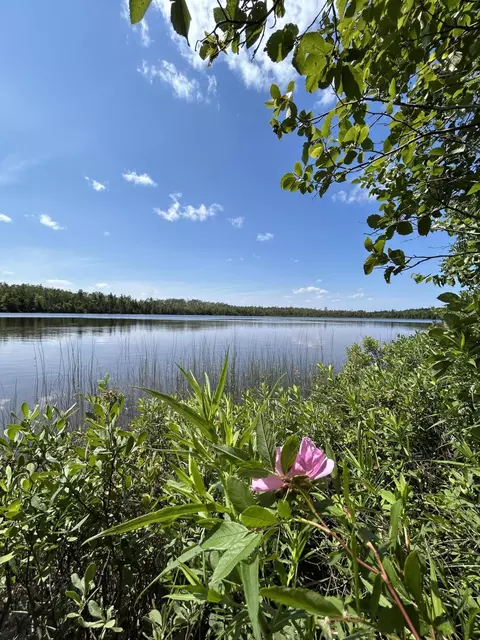 9840 Ocqueoc Lake Rd, Millersburg, MI 49759