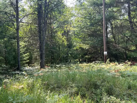 80 N Ac N Everett Rd, Roscommon, MI 48653 photo 9