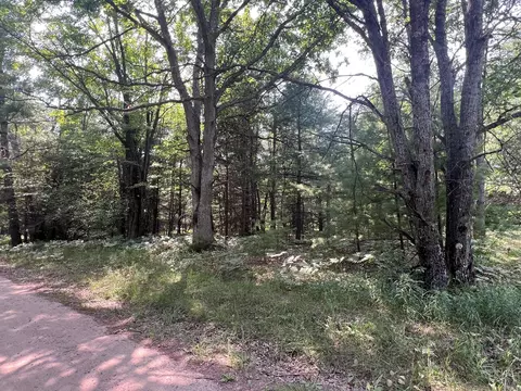 80 N Ac N Everett Rd, Roscommon, MI 48653