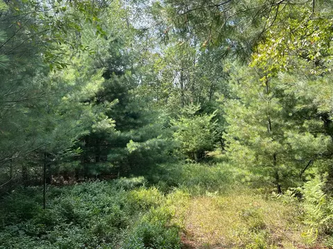 80 N Ac N Everett Rd, Roscommon, MI 48653 photo 5