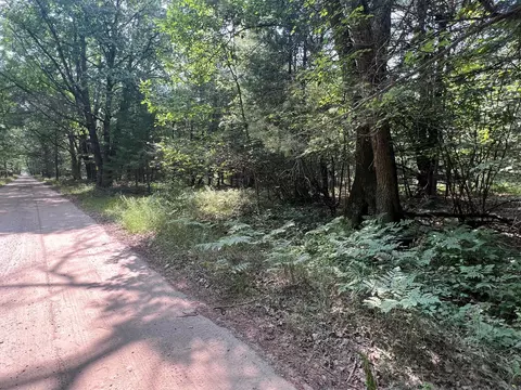 80 N Ac N Everett Rd, Roscommon, MI 48653 photo 3